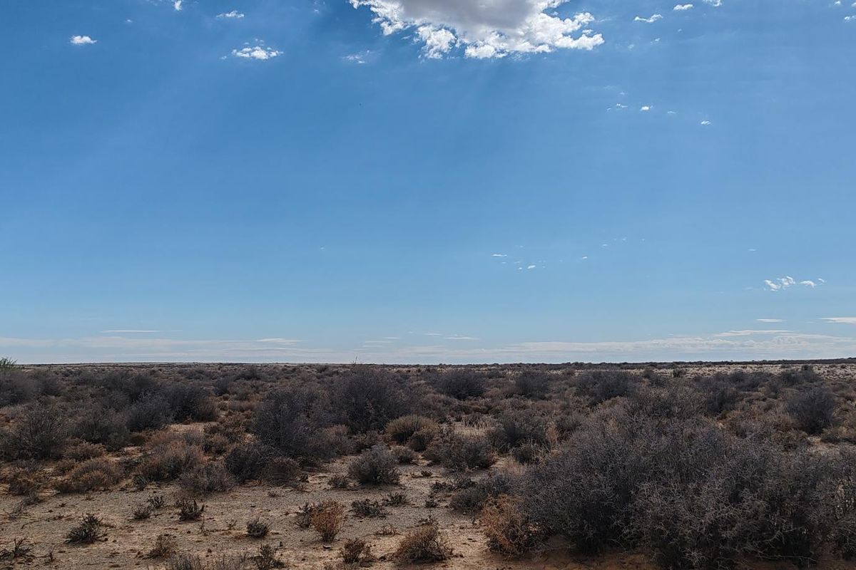BRANDVLEI: KAROO-DROOMPLAAS – 8822 HA - Photo 5