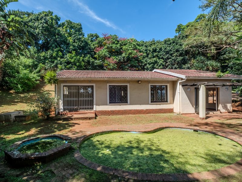 Opportunity Knocks.... - Photo 4