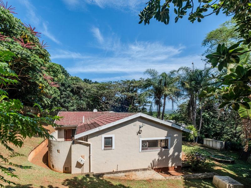 Opportunity Knocks.... - Photo 3