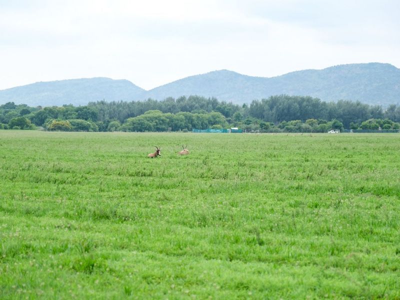 Spacious Stand with Aviation Potential in The Coves Estate - Photo 6
