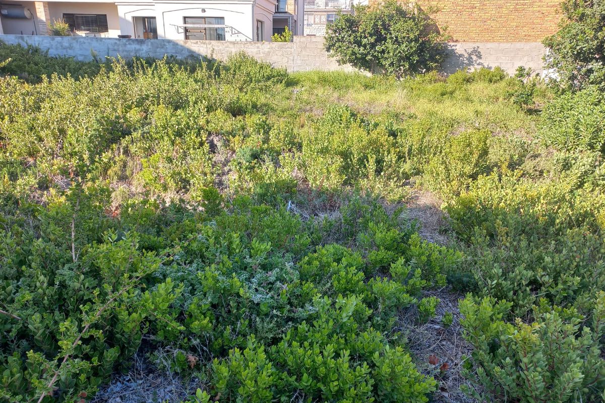 PRIME VACANT STAND FOR SALE WITH AMAZING SEA VIEWS. - Photo 3