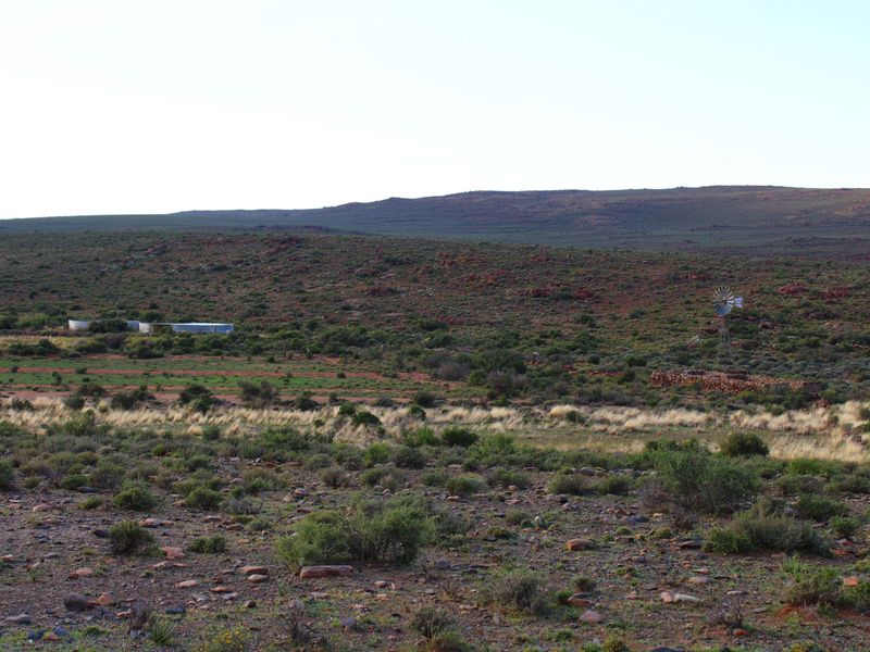 a True Great Karoo Farm - Photo 4