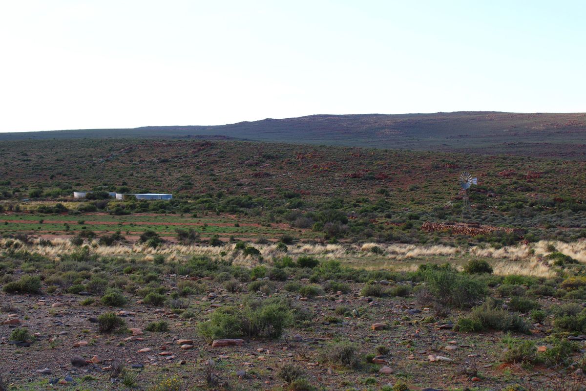 a True Great Karoo Farm - Photo 4