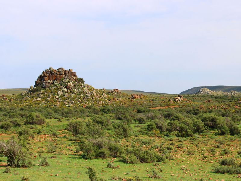 a True Great Karoo Farm - Photo 10
