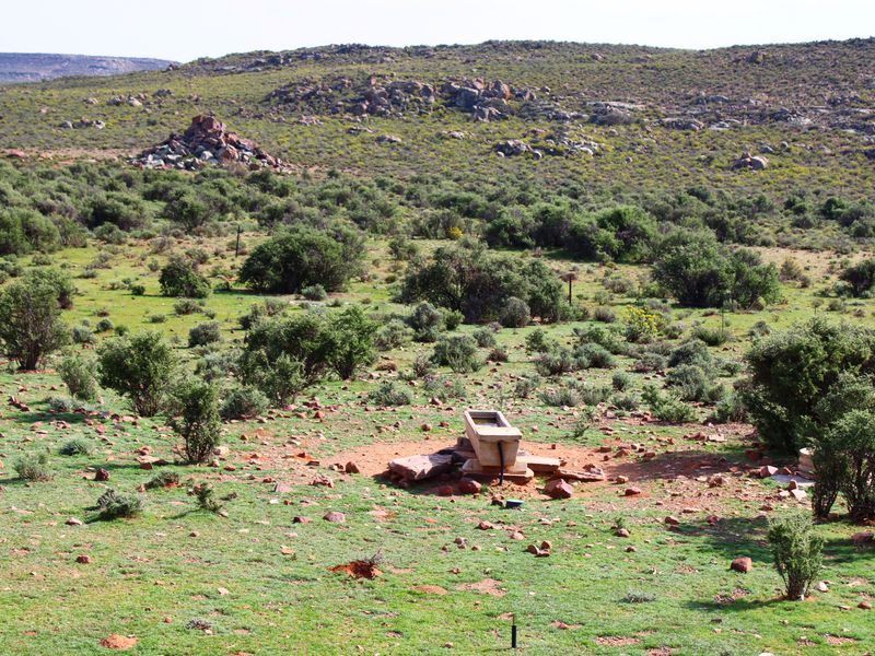a True Great Karoo Farm - Photo 9