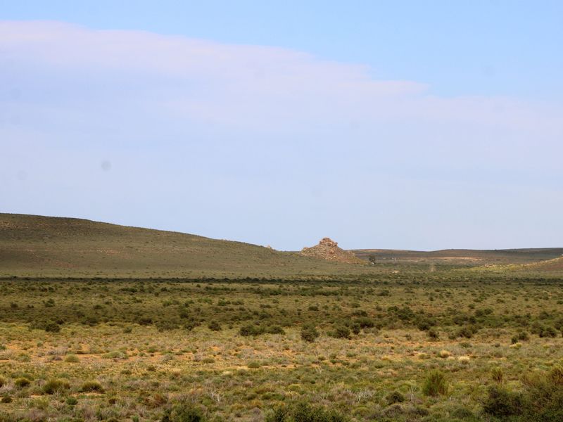 a True Great Karoo Farm - Photo 8