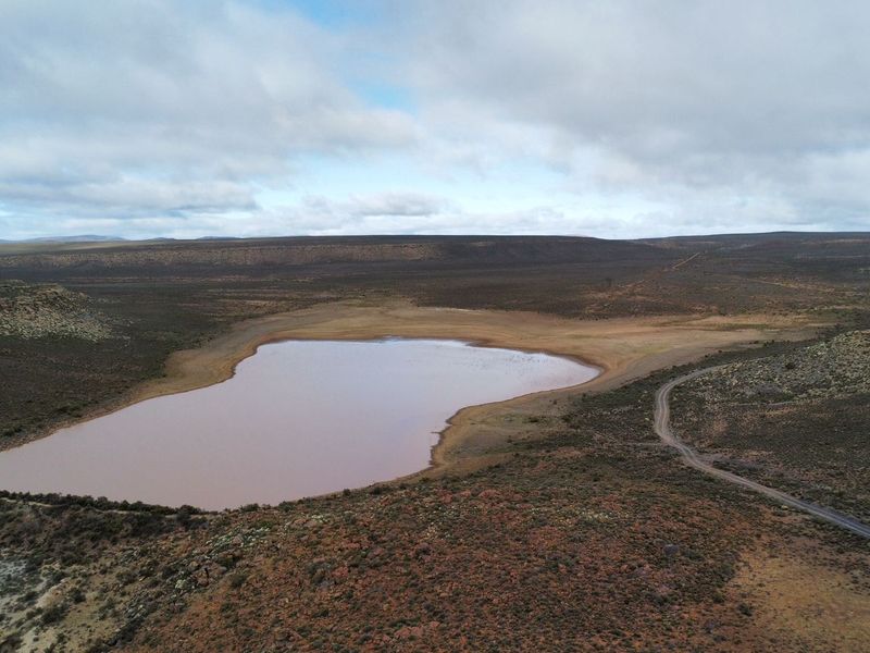 a True Great Karoo Farm - Photo 7