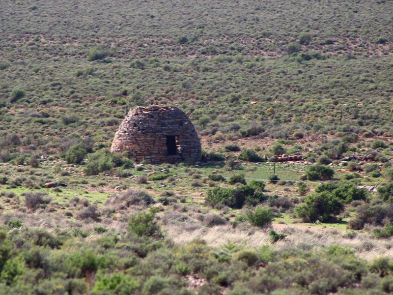 a True Great Karoo Farm - Photo 5