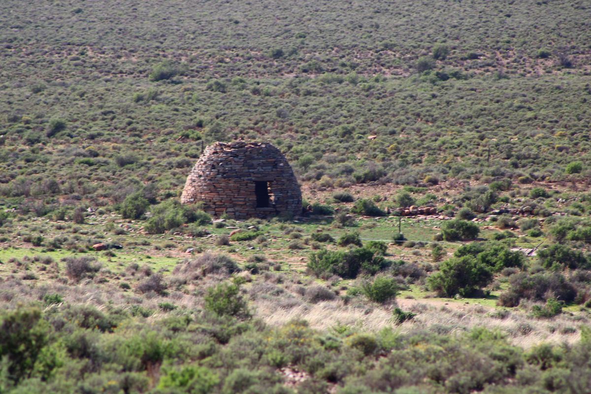 a True Great Karoo Farm - Photo 5
