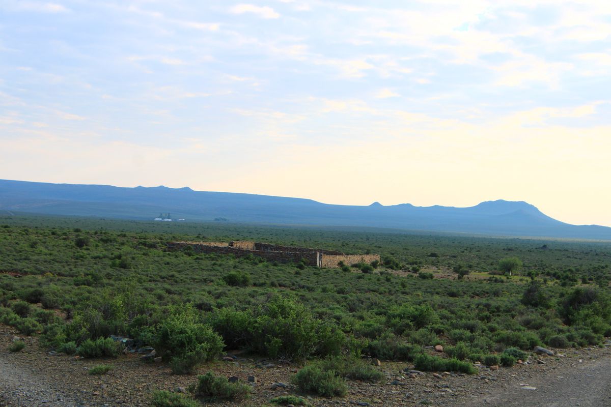 a True Great Karoo Farm - Photo 2