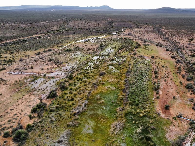 a True Great Karoo Farm - Photo 6