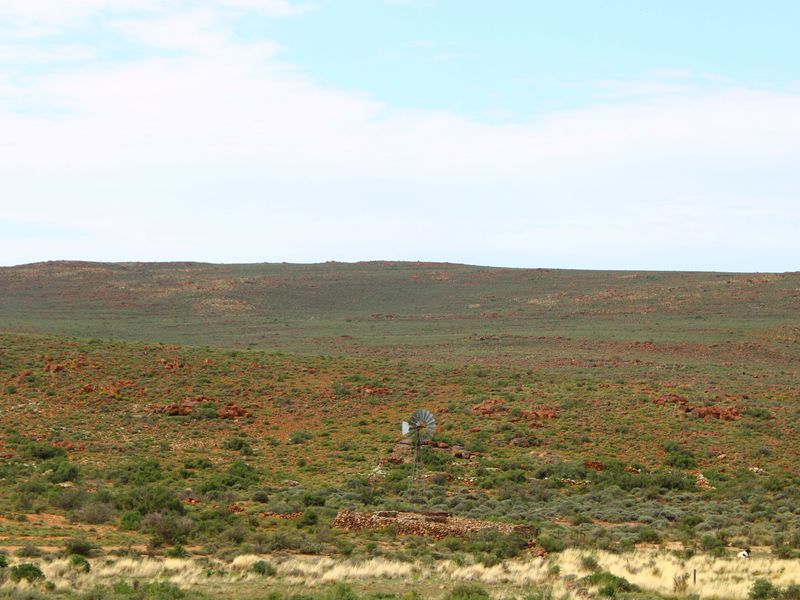 a True Great Karoo Farm - Photo 3