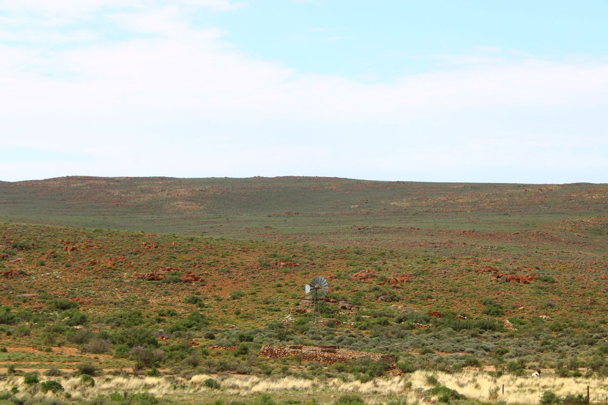 a True Great Karoo Farm - Photo 3
