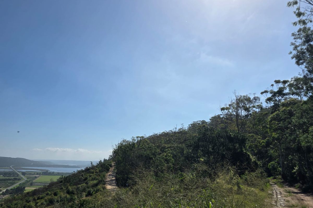 35 Hectares of Untouched Paradise with Panoramic Sedgefield & Ocean Views - Photo 5