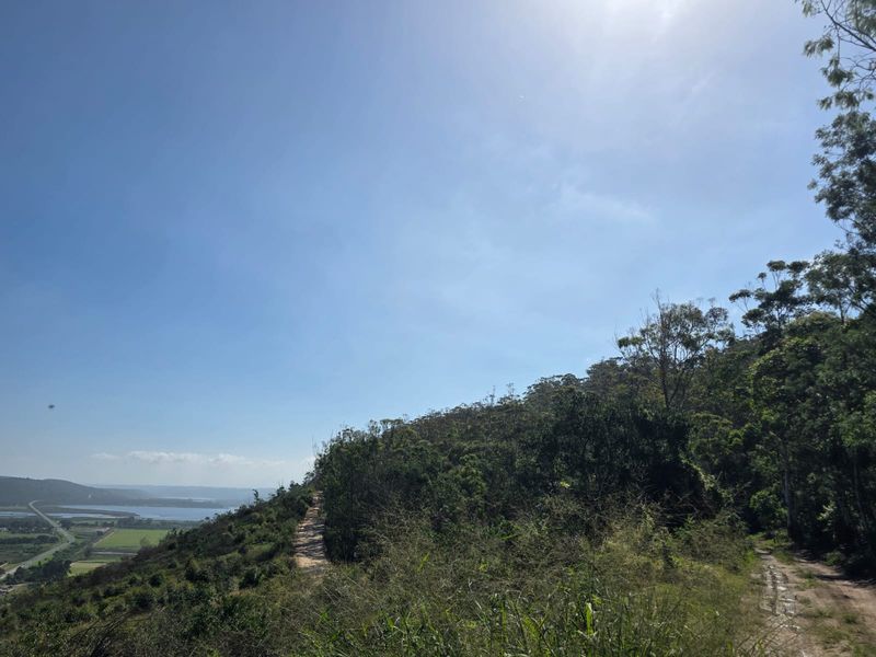 35 Hectares of Untouched Paradise with Panoramic Sedgefield & Ocean Views - Photo 5