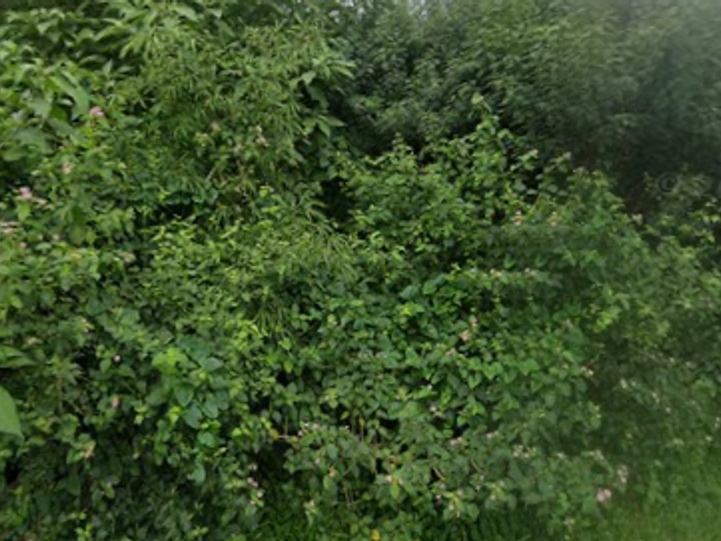 Double vacant stand for sale - Photo 3