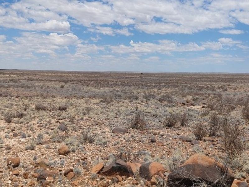 Brandvlei plaas Te Koop – Stap in en boer! - Photo 10