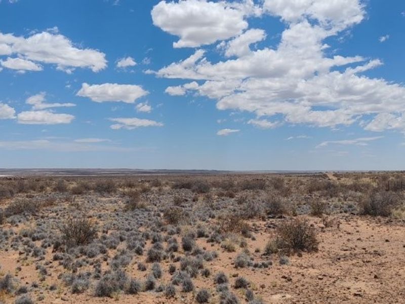 Brandvlei plaas Te Koop – Stap in en boer! - Photo 8