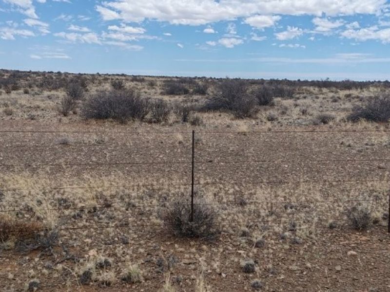 Brandvlei plaas Te Koop – Stap in en boer! - Photo 7