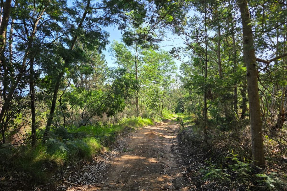 59 Hectares of Elevated Paradise with Unrivalled Sedgefield, Lagoon & Ocean Views - Photo 2