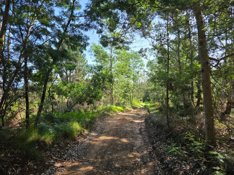 59 Hectares of Elevated Paradise with Unrivalled Sedgefield, Lagoon & Ocean Views - Photo 2