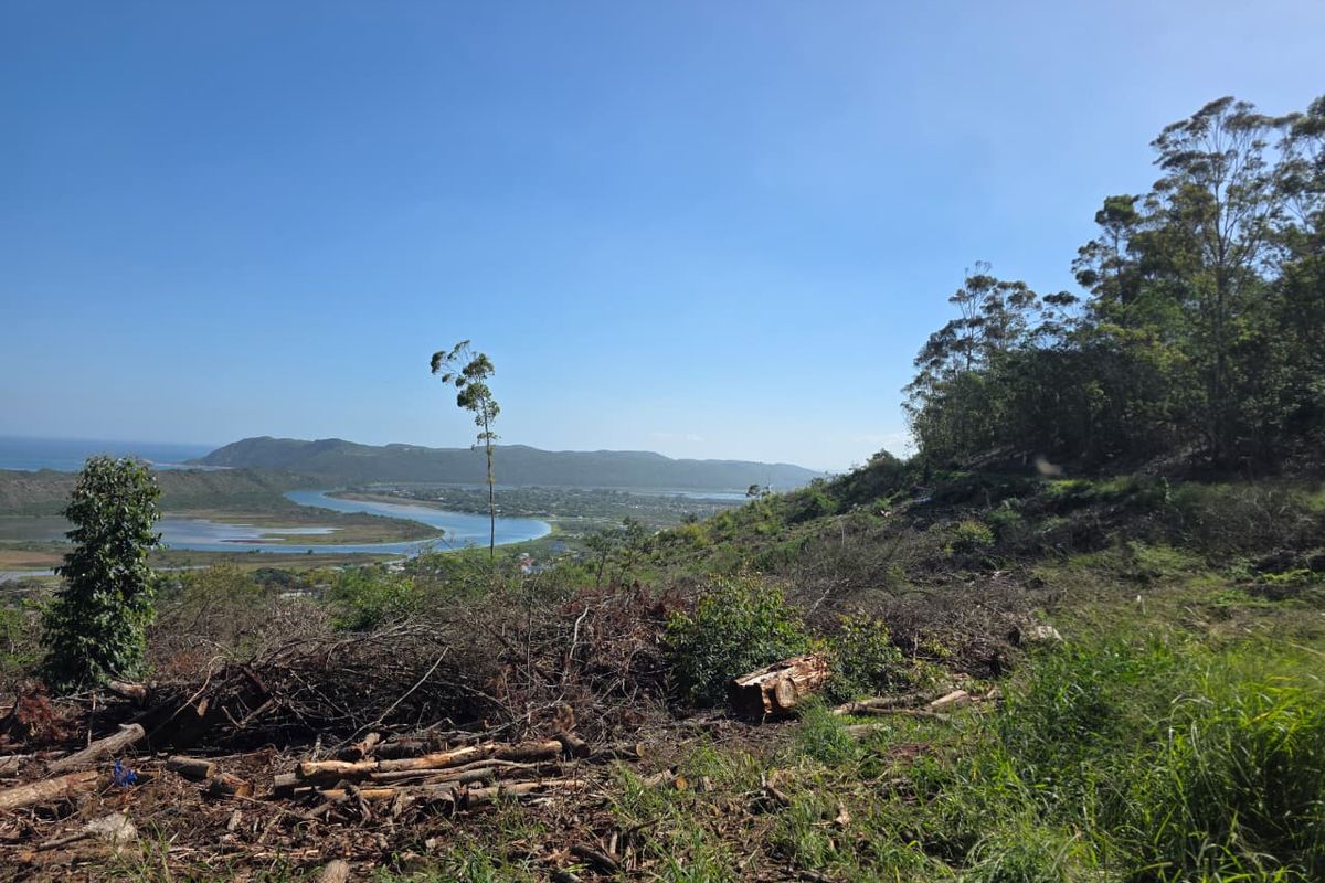 59 Hectares of Elevated Paradise with Unrivalled Sedgefield, Lagoon & Ocean Views - Photo 3