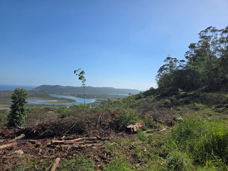 59 Hectares of Elevated Paradise with Unrivalled Sedgefield, Lagoon & Ocean Views - Photo 3