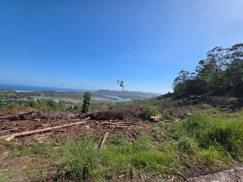 59 Hectares of Elevated Paradise with Unrivalled Sedgefield, Lagoon & Ocean Views - Photo 9