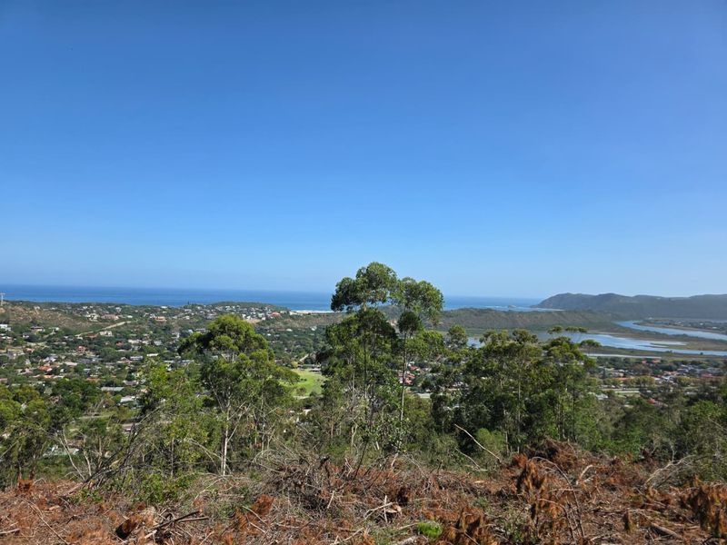 59 Hectares of Elevated Paradise with Unrivalled Sedgefield, Lagoon & Ocean Views - Photo 8