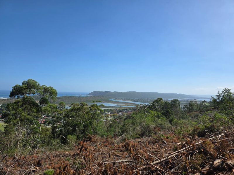 59 Hectares of Elevated Paradise with Unrivalled Sedgefield, Lagoon & Ocean Views - Photo 7