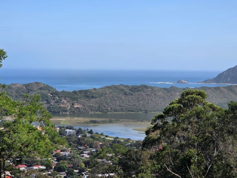 59 Hectares of Elevated Paradise with Unrivalled Sedgefield, Lagoon & Ocean Views - Photo 6