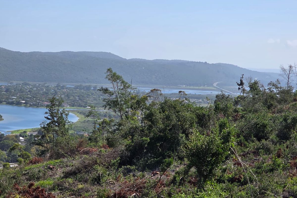 59 Hectares of Elevated Paradise with Unrivalled Sedgefield, Lagoon & Ocean Views - Photo 5