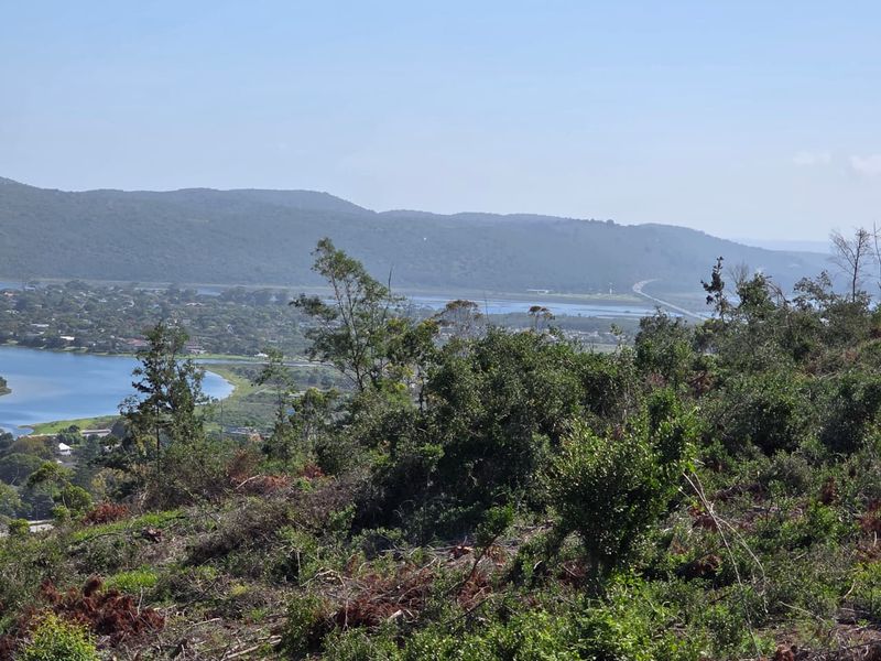 59 Hectares of Elevated Paradise with Unrivalled Sedgefield, Lagoon & Ocean Views - Photo 5