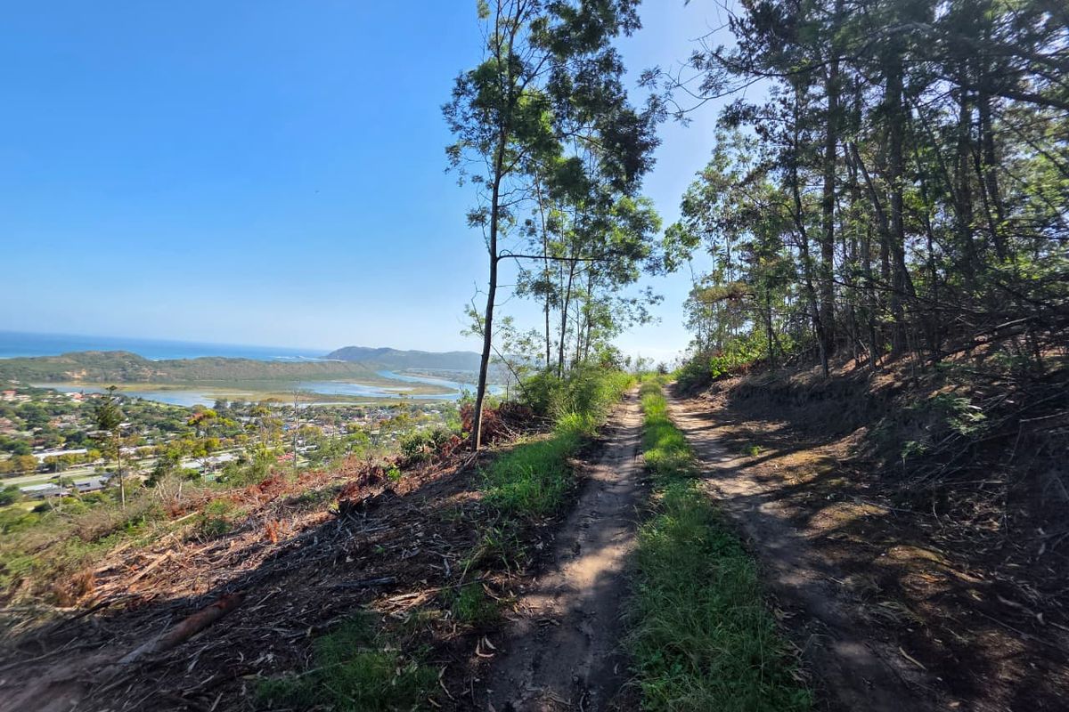 59 Hectares of Elevated Paradise with Unrivalled Sedgefield, Lagoon & Ocean Views - Photo 4