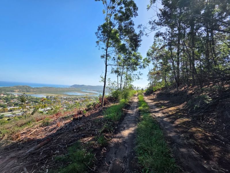 59 Hectares of Elevated Paradise with Unrivalled Sedgefield, Lagoon & Ocean Views - Photo 4