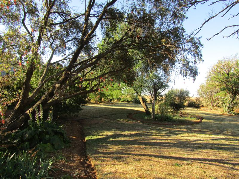 Smallholding Pending Sale In Bloemfontein - Photo 4