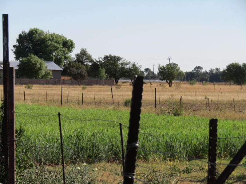 Smallholding Pending Sale In Bloemfontein - Photo 3