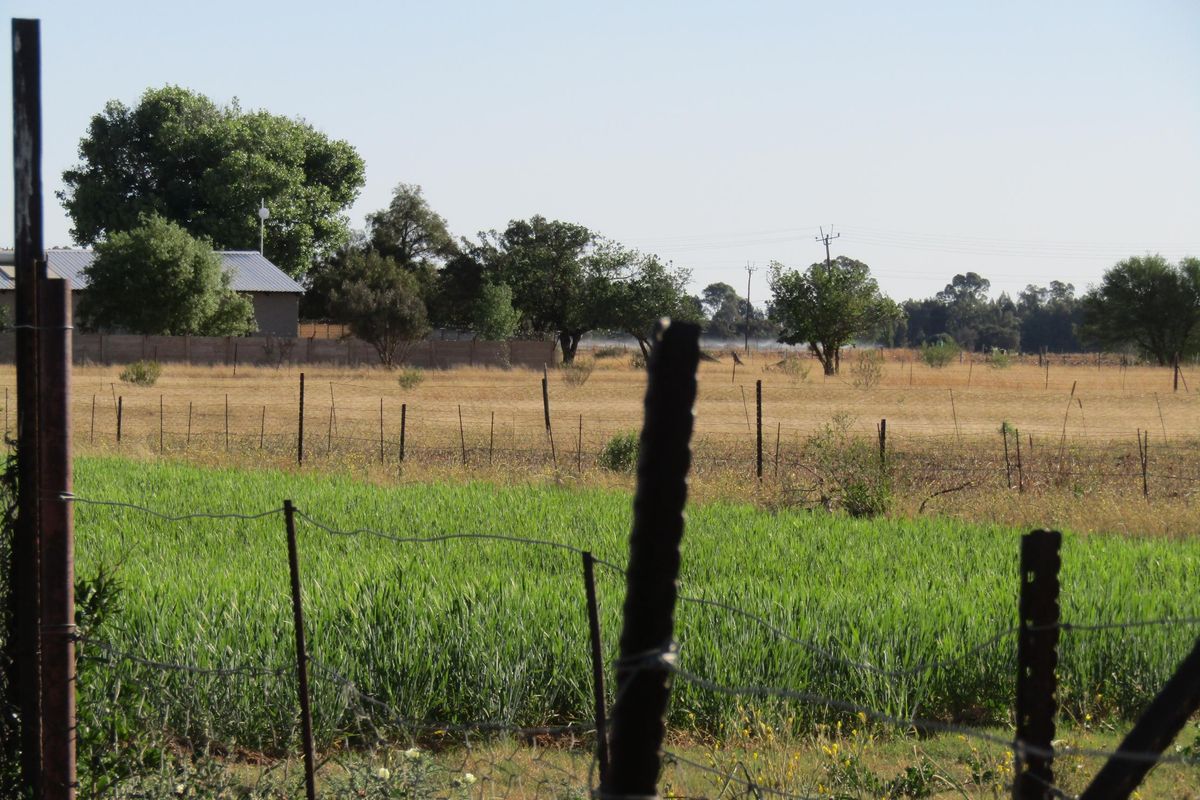 Smallholding Pending Sale In Bloemfontein - Photo 3