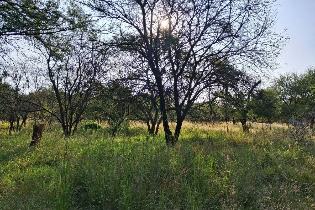 Prime Vacant Stand in Secure Eco Estate – Buffelspoort Lifestyle Living - Photo 5