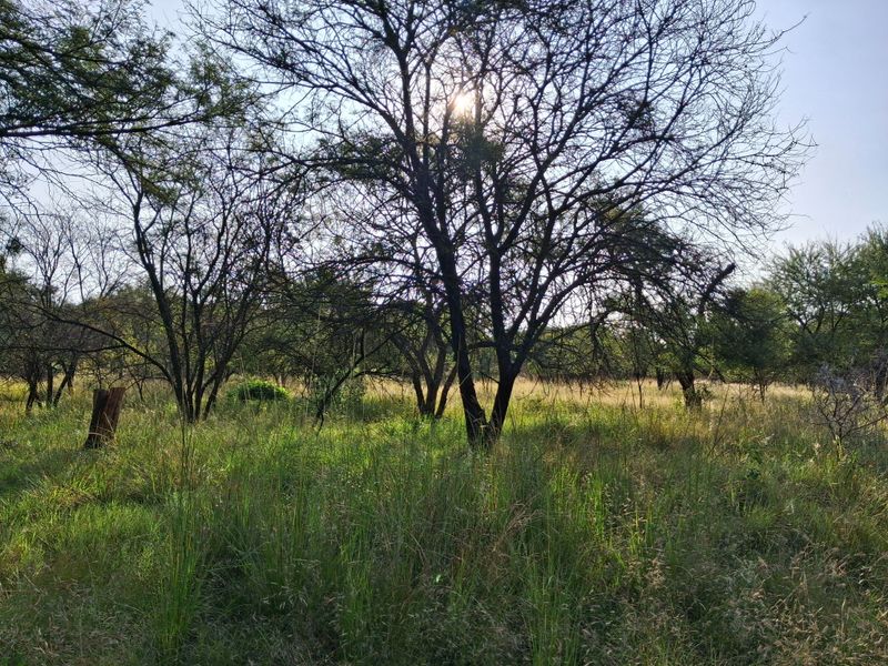 Prime Vacant Stand in Secure Eco Estate – Buffelspoort Lifestyle Living - Photo 5