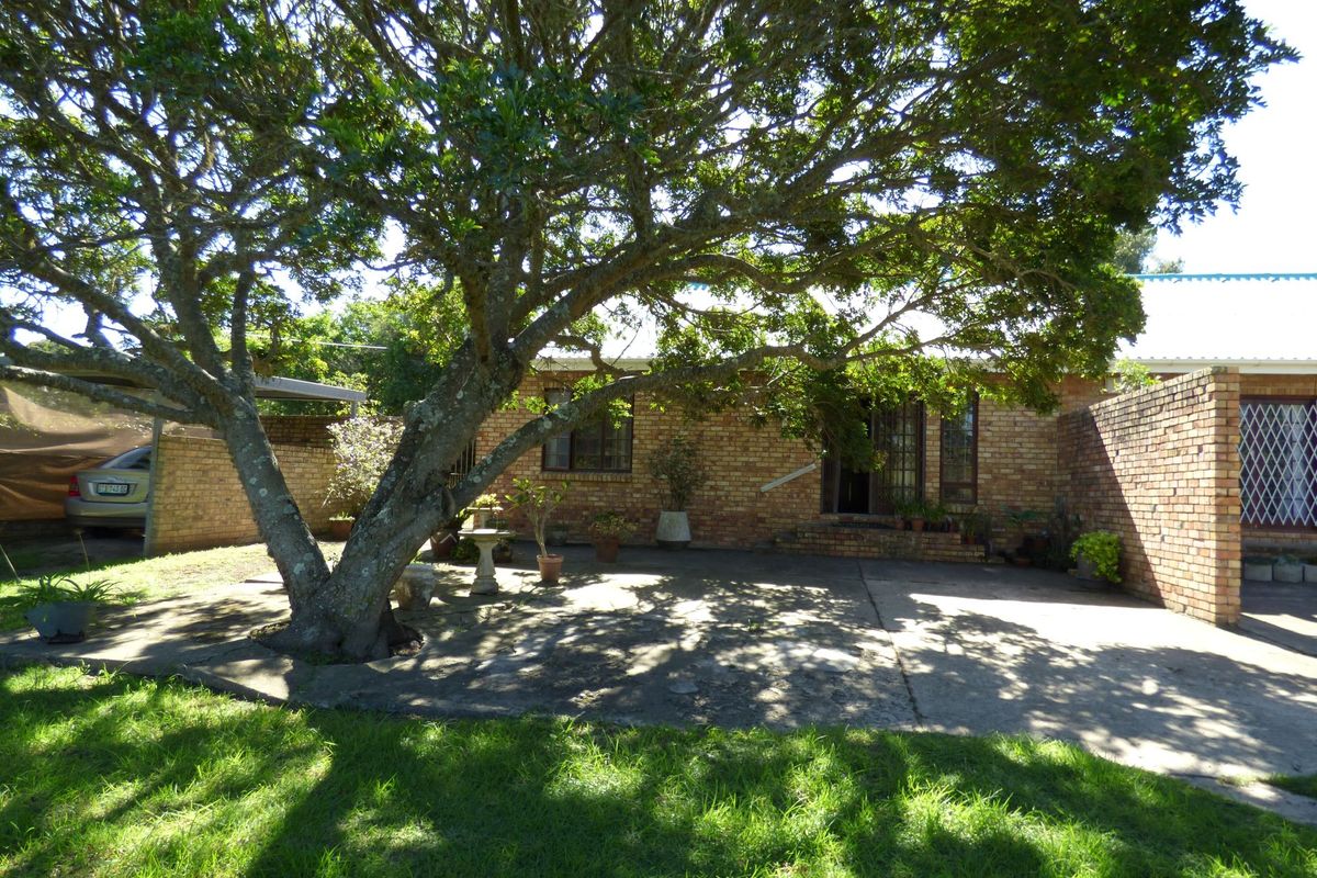 Spacious Home With Great Potential in Mission Street, West Bank - Photo 2