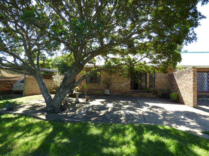 Spacious Home With Great Potential in Mission Street, West Bank - Photo 2