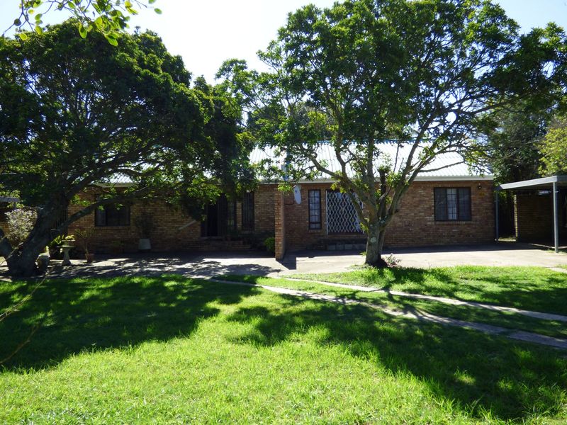 Spacious Home With Great Potential in Mission Street, West Bank - Photo 3