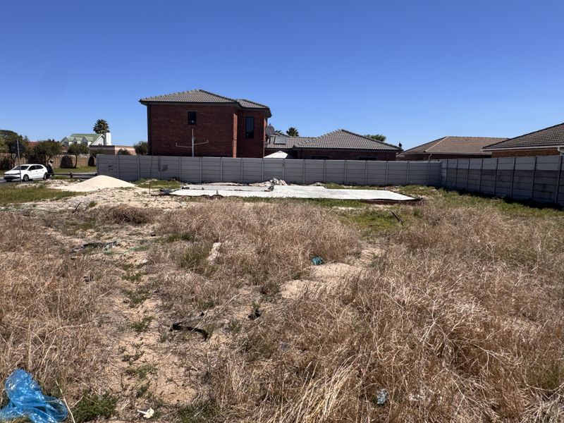 Luxury Double-Storey Plot & Plan - Photo 2