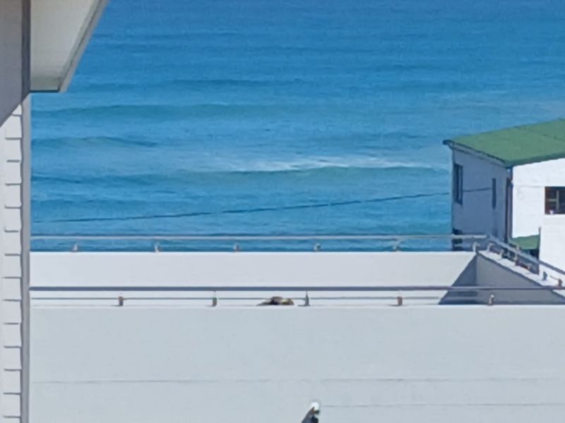 Build Your Dream Home with Beautiful Ocean Views - Photo 7