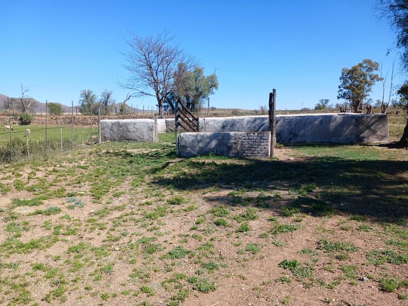 Uitsonderlike 1567.8819 ha Skaap en Beesplaas naby Cradock - Photo 7