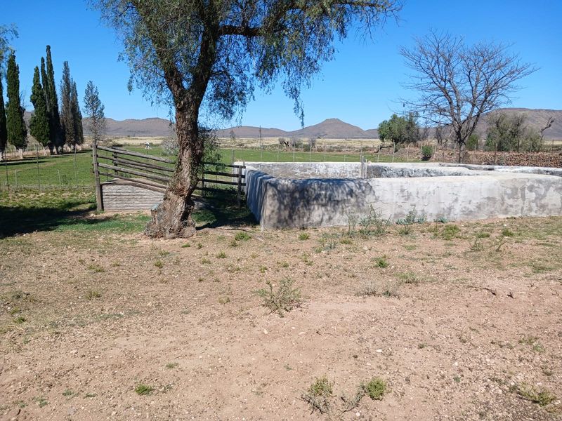 Uitsonderlike 1567.8819 ha Skaap en Beesplaas naby Cradock - Photo 6