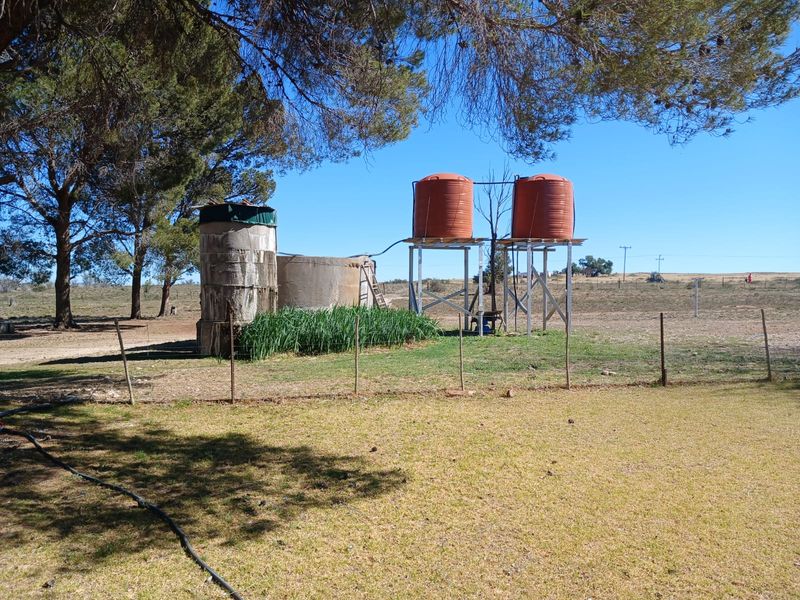 Uitsonderlike 1567.8819 ha Skaap en Beesplaas naby Cradock - Photo 8