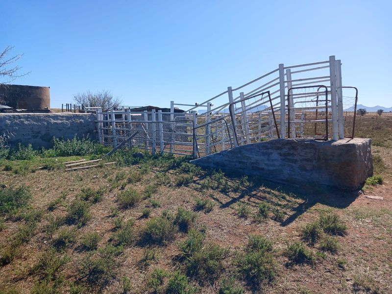 Uitsonderlike 1567.8819 ha Skaap en Beesplaas naby Cradock - Photo 9