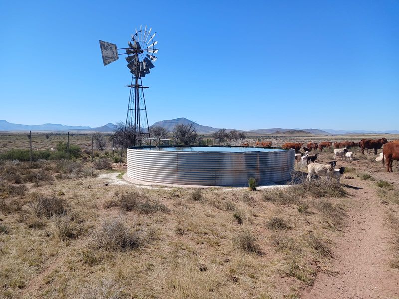 Uitsonderlike 1567.8819 ha Skaap en Beesplaas naby Cradock - Photo 2